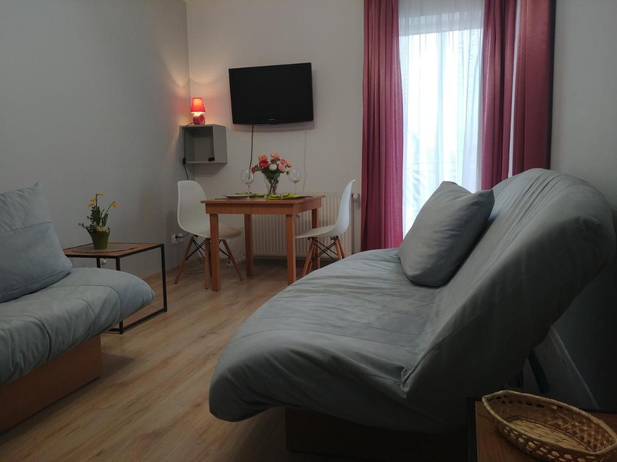 Apartament U Muzyków Krynica Morska Exterior foto